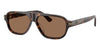#colour_shiny-havana-dark-brown