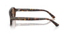 #colour_shiny-havana-dark-brown