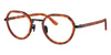 #colour_brown-turtle