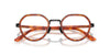#colour_brown-turtle