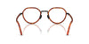 #colour_brown-turtle