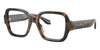 #colour_brown-tortoise