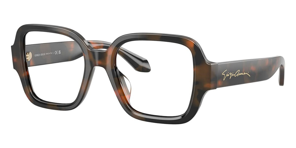 #colour_brown-tortoise