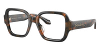 #colour_brown-tortoise