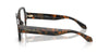 #colour_brown-tortoise