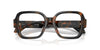 #colour_brown-tortoise