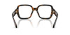 #colour_brown-tortoise