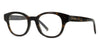 Givenchy City GV50098I #colour_havana