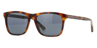 Gucci GG0381S #colour_havana/blue