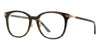 Gucci GG1453OK #colour_shiny dark havana