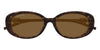 Gucci GG1684SA#colour_dark-brown-havana-with-gold-brown