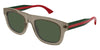 Gucci GG1991S #colour_shiny brown crystal/green with light mirror