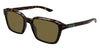 Gucci GG2078S #colour_havana/brown