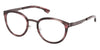 ic! berlin Larry IC5324 #colour_teak cocoa blush