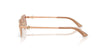 #colour_rose-gold-brown-gradient