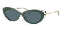 #colour_dark-green-dark-grey
