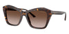 #colour_havana-brown-gradient