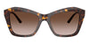 #colour_havana-brown-gradient
