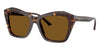 #colour_havana-dark-brown-polarised