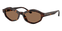 #colour_havana-dark-brown