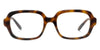 Loewe Slim LW50108I #colour_shiny havana