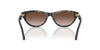 #colour_black-camo-tortoise-brown-gradient