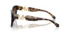 #colour_black-brown-gradient