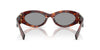 Miu Miu SMU11W#colour_mahogany-havana-grey