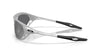 #colour_x-silver-prizm-black-polarised
