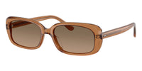#colour_carob-sandstone-gradient-polarised