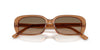 #colour_carob-sandstone-gradient-polarised