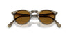 #colour_soft-olive-bark-true-brown