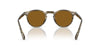 #colour_soft-olive-bark-true-brown
