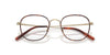 Oliver Peoples Mehr OV1375T #colour_gold and dark mahogany