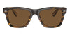 Oliver Peoples Oliver Sun OV5393SU#colour_cocobolo-true-brown-polarised