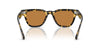 Oliver Peoples Rueny OV5601SU #colour_tokyo tortoise/cognac