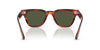 Oliver Peoples Rueny OV5601SU #colour_koa tortoise/g-15 green