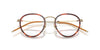 Oliver Peoples TK-11 OV1360T#colour_gold-tuscany-tortoise