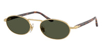 Persol PO1023S #colour_gold/green