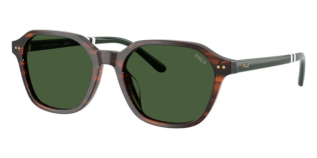 Polo Ralph Lauren PH4234U #colour_shiny striped brown/bottle green