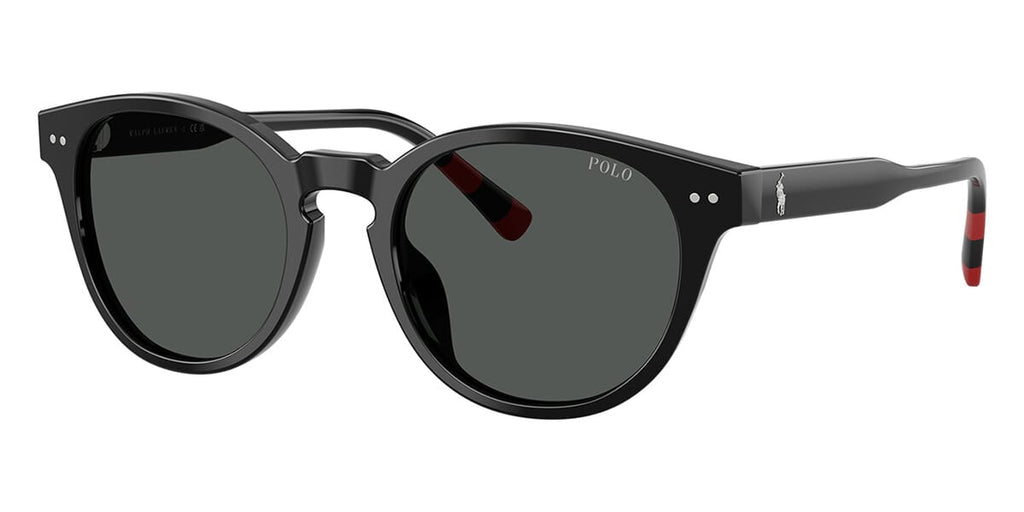 Polo Ralph Lauren PH4241U Round Sunglasses | Fashion Eyewear display picture 3