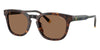 Polo Ralph Lauren PH4242U #colour_shiny havana/dark brown