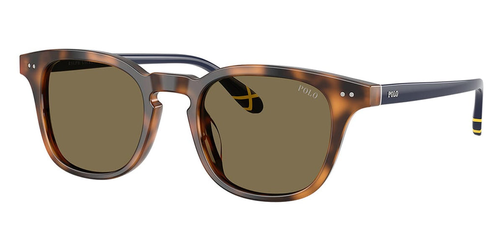 #colour_shiny-tortoise-brown
