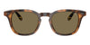 #colour_shiny-tortoise-brown