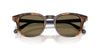 #colour_shiny-tortoise-brown