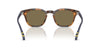 #colour_shiny-tortoise-brown