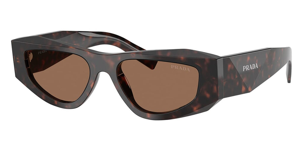 Prada SPRB19 #colour_root tortoise/dark brown