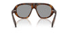 Prada SPRC05 #colour_juniper tortoise/grey