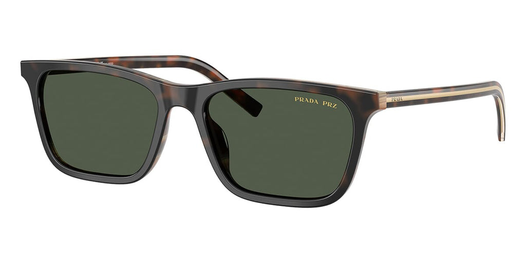 #colour_cherry-tortoise-and-tobacco-horn-dark-green-polarised