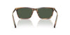 #colour_cherry-tortoise-and-tobacco-horn-dark-green-polarised